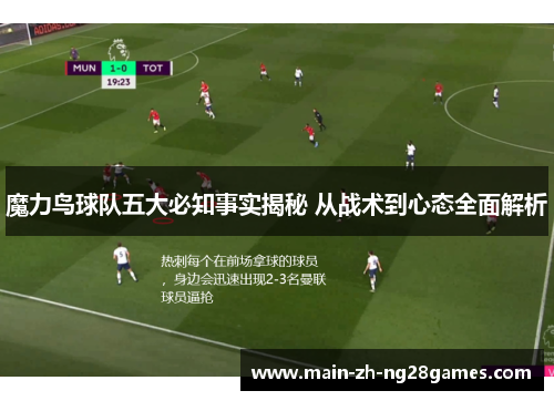 魔力鸟球队五大必知事实揭秘 从战术到心态全面解析